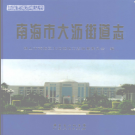 南海市大沥街道志 2008 PDF电子版