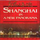 新编上海大观 1993 PDF电子版