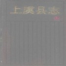 浙江省上虞县志.pdf下载